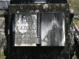 image of grave number 884902